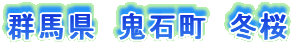 Qn@SΒ@~