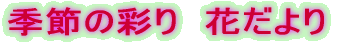 Ƃ肳 ɂ ڎ
