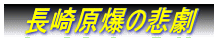 @茴̔ߌ@