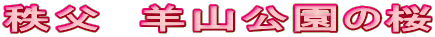 @rR̍
