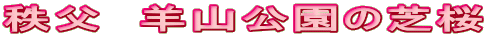 @rR̎ō